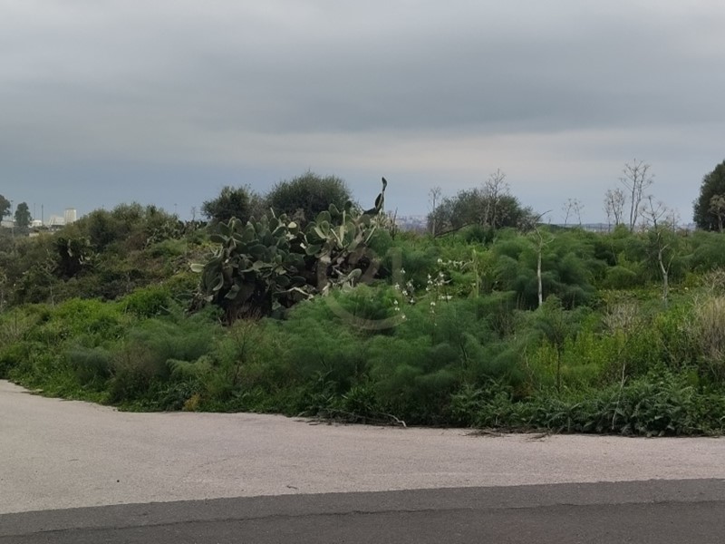 Terreno agricolo in Vendita a Belpasso, zona Semicentro, 65'000€, 7430 m²