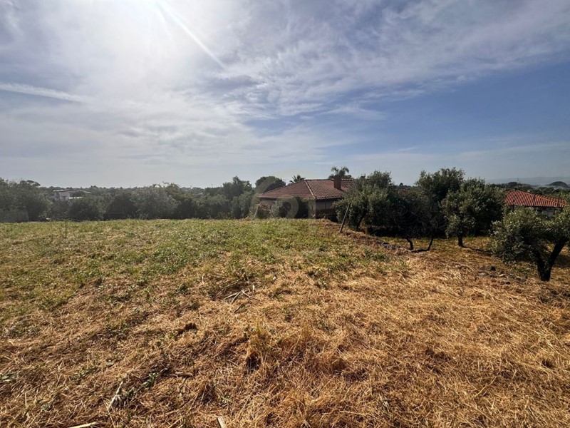 Terreno agricolo in Vendita a Misterbianco, zona Madonna degli Ammalati, 55'000€, 3300 m²