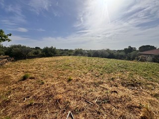 Terreno agricolo in Vendita a Misterbianco, zona Madonna degli Ammalati, 55'000€, 3300 m²