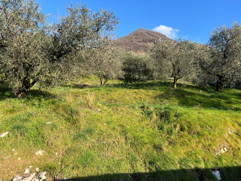 Terreno edificabile in Vendita a Marone, 185'000€, 1000 m²
