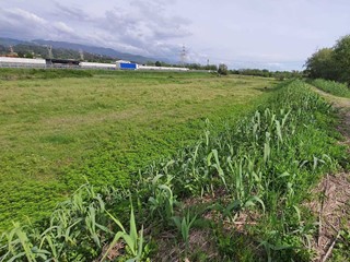 Terreno agricolo in Vendita a Santo Stefano di Magra, 27'000€, 8000 m²