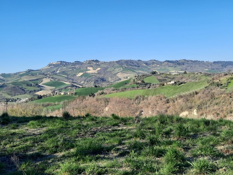 Casa Indipendente in Vendita a Ripatransone, 90'000€, 200 m²