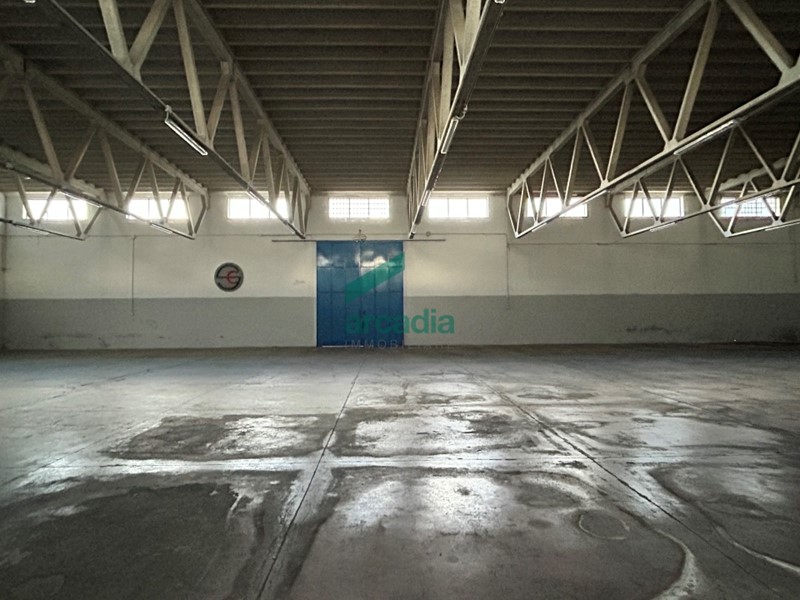 Capannone in Affitto a Bitonto, zona paese, 5'000€, 950 m²