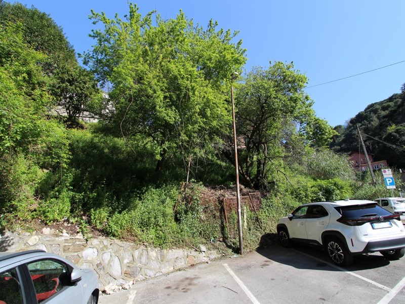 Terreno agricolo in Vendita a Recco, zona Valleverde, 25'000€, 300 m²
