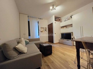 Bilocale in Affitto a Milano, zona Garibaldi - Brera - Moscova, 1'600€, 50 m², arredato