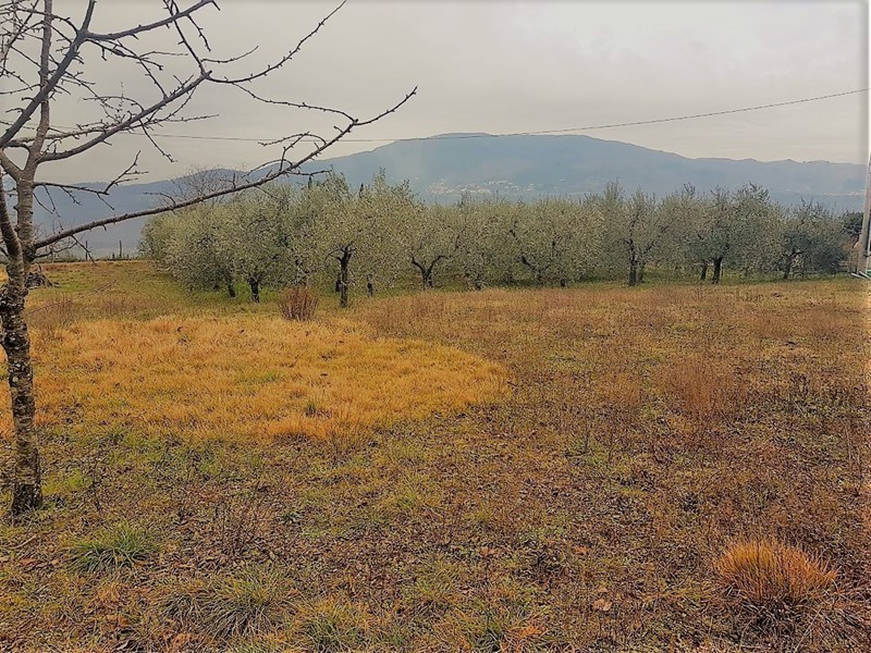 Casa Indipendente in Vendita a Lucca, zona Massa Pisana, 430'000&euro;, 240 m², con Box