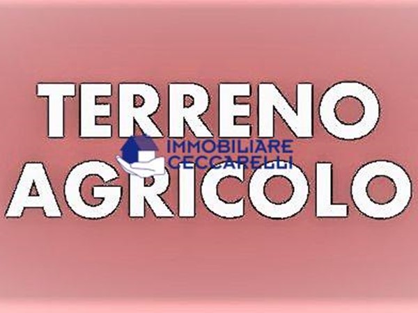 Terreno agricolo in Vendita a Massa, zona Marina di Massa, 58'000€, 2430 m²