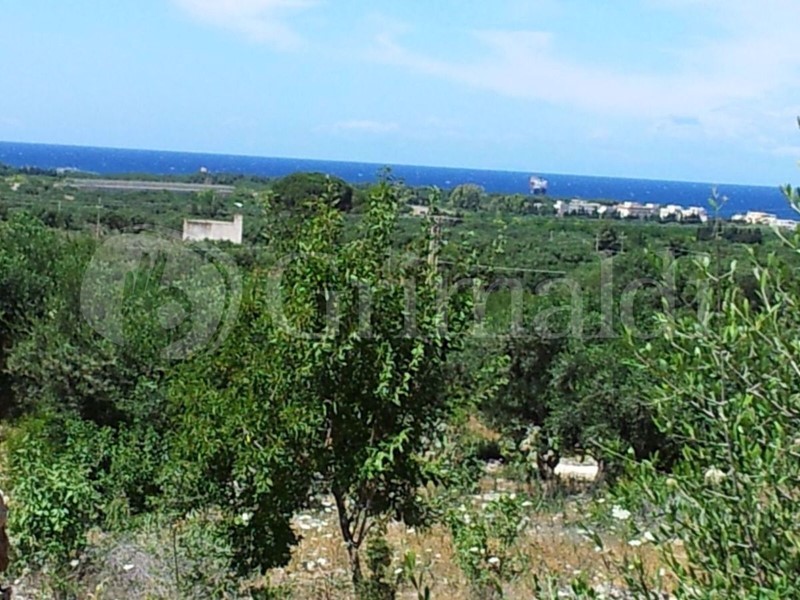 Terreno agricolo in Vendita a Sannicola, 95'000€, 9000 m²