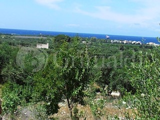 Terreno agricolo in Vendita a Sannicola, 95'000€, 9000 m²