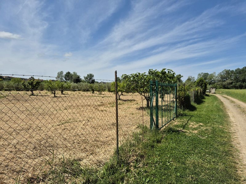 Terreno agricolo in Vendita a Grosseto, 30'000€, 5000 m²
