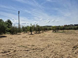Terreno agricolo in Vendita a Grosseto, 30'000€, 5000 m²