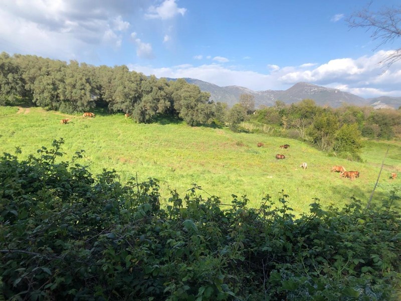 Terreno agricolo in Vendita a Guidonia Montecelio, zona Guidonia, 165'000€, 70000 m²