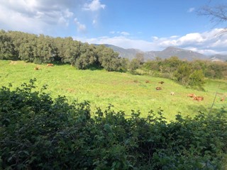 Terreno agricolo in Vendita a Guidonia Montecelio, zona Guidonia, 165'000€, 70000 m²