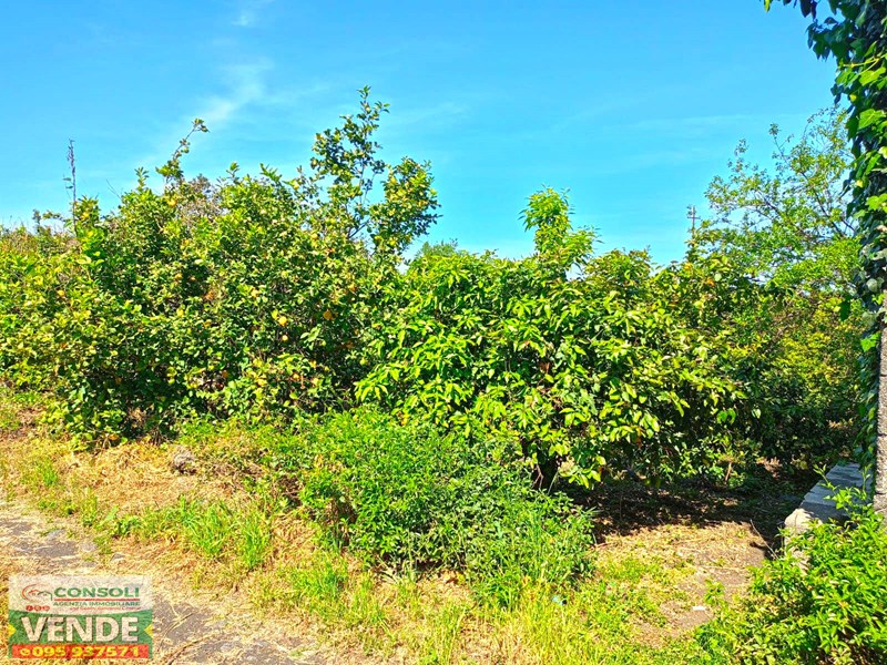 Terreno agricolo in Vendita a Riposto, zona Carruba, 15'000€, 1600 m²