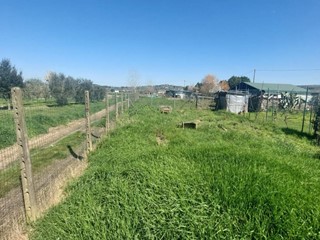 Casale in Vendita a Empoli, zona Molin Nuovo, 115'000€, 484 m²