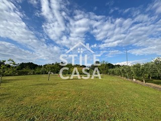 Terreno agricolo in Vendita a Castelfranco di Sotto, zona Villa Campanile, 100'000€, 4250 m²