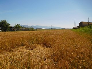 Terreno agricolo in Vendita a Pisa, zona La Vettola, 70'000€, 27740 m²