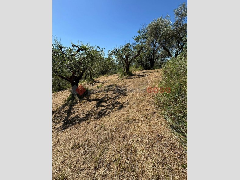 Terreno agricolo in Vendita a Pistoia, 13'000€, 2600 m²