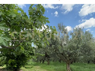 Casa Indipendente in Vendita a Mezzane di Sotto, 250'000€, 66 m²