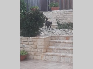 Villa in Affitto a Leporano, 1'000€, 150 m², arredato