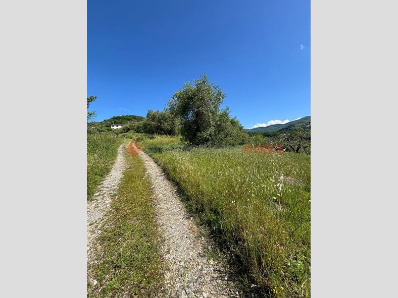 Terreno agricolo in Vendita a Pistoia, 17'800€, 4368 m²