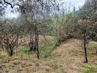 Terreno edificabile in Vendita a Santo Stefano di Magra, 92'000€, 194 m²