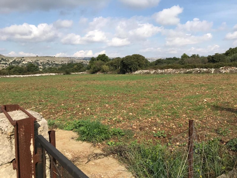 Terreno agricolo in Vendita a Modica, zona DENTE, 70'000€, 12000 m²