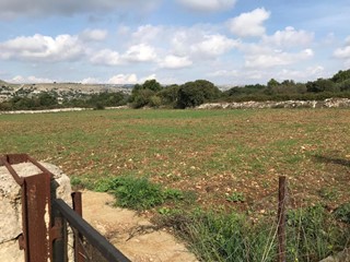 Terreno agricolo in Vendita a Modica, zona DENTE, 70'000€, 12000 m²