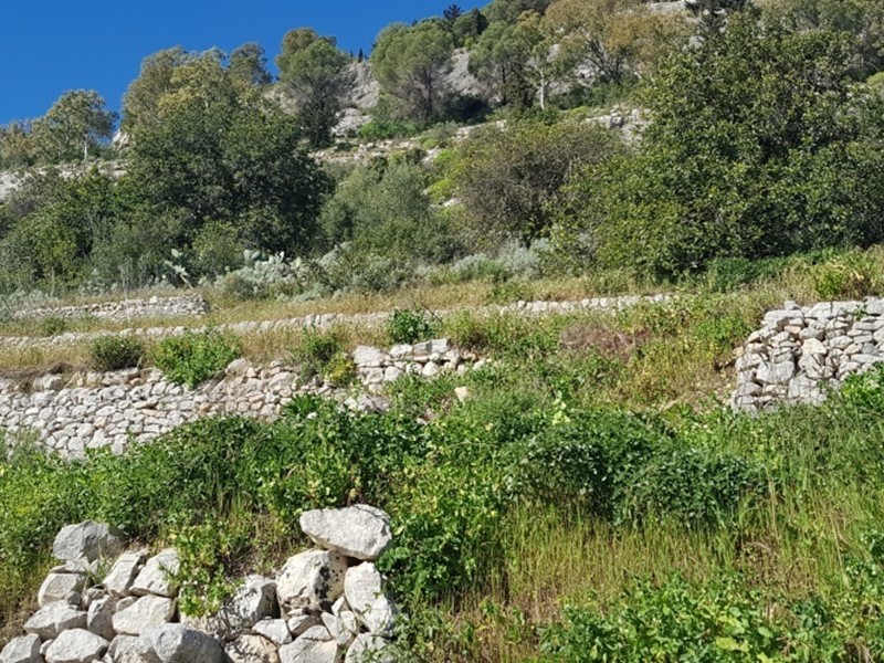 Terreno agricolo in Vendita a Modica, zona MODICA BASSA, 15'000€, 11000 m²
