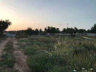 Terreno agricolo in Vendita a Modica, zona DENTE, 160'000€, 120 m²