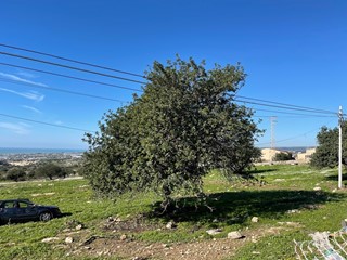 Terreno agricolo in Vendita a Scicli, zona Cava D'aliga, 230'000€, 66000 m²