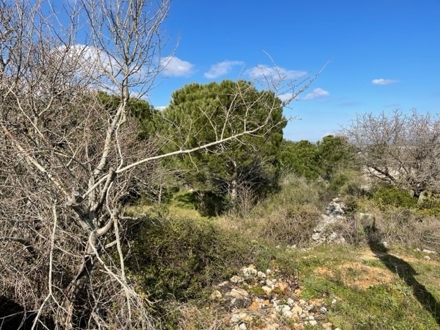 Villa in Vendita a Noto, zona Noto Antico, 160 m²