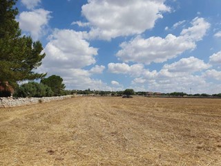 Terreno agricolo in Vendita a Modica, zona SORDA PERIFERIA, 55'000€, 13800 m²