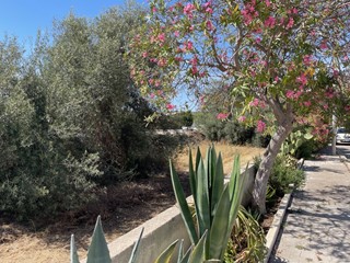 Terreno agricolo in Vendita a Pozzallo, zona V.LE EUROPA, 175'000€, 180 m²