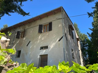 Attività commerciale in Vendita a Castelfiorentino, 550'000€, 300000 m²