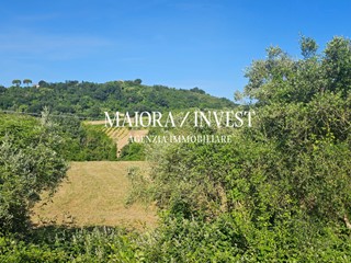 Terreno agricolo in Vendita a Monsampolo del Tronto, 50'000€, 6200 m²