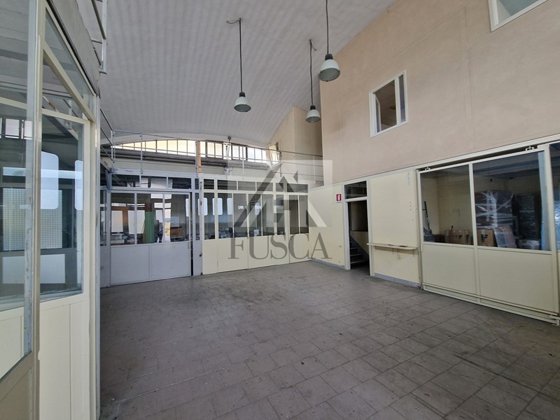 Capannone in Affitto a Lucca, zona San Concordio Contrada, 2'500&euro;, 240 m²