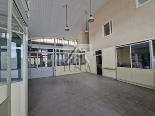 Capannone in Affitto a Lucca, zona San Concordio Contrada, 2'500€, 240 m²