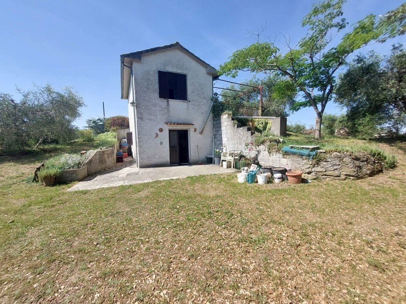 Terreno agricolo in Vendita a Scansano, 80'000€, 4000 m²