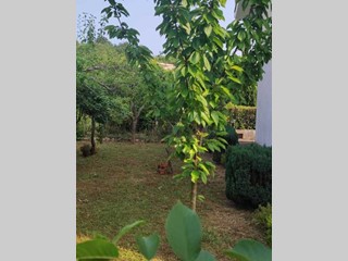 Casa Indipendente in Vendita a Castelnuovo Parano, 199'000€, 180 m²