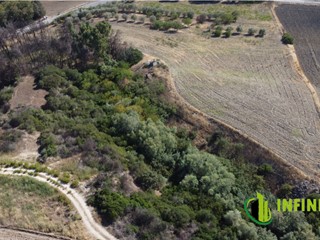 Terreno edificabile in Vendita a Matera, 39'000€, 22726 m²