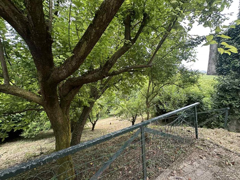 Casa Indipendente in Vendita a Pietra de' Giorgi, 189'000€, 153 m², arredato