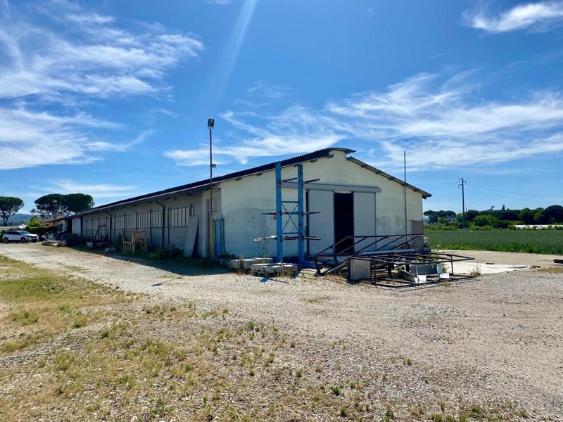 Attività commerciale in Vendita a Forlì, 295'000€, 600 m²