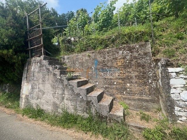 Terreno agricolo in Vendita a Massa, 25'000€, 2397 m²