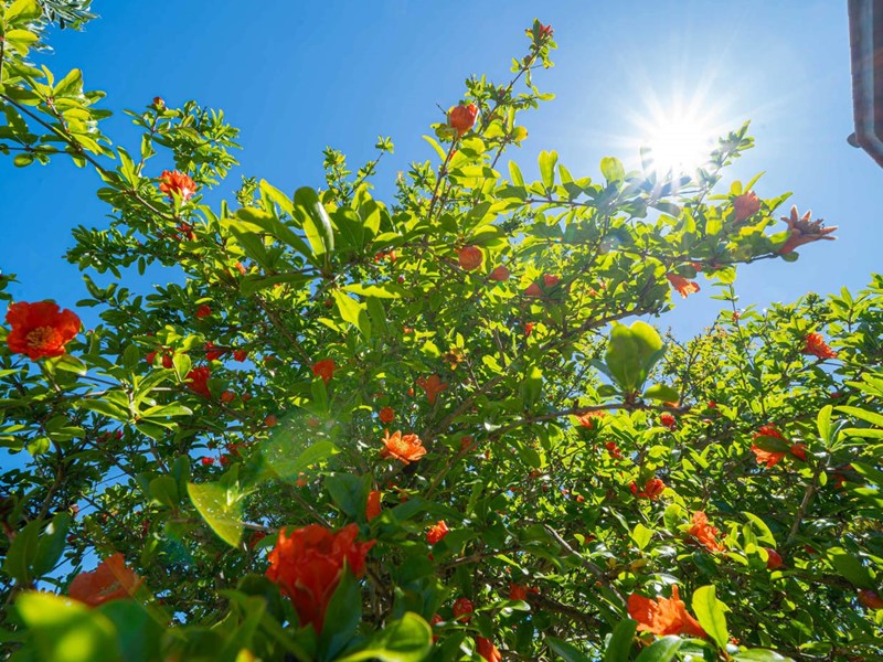 Monolocale in Vendita a Cecina, 240'000€, 40 m², arredato