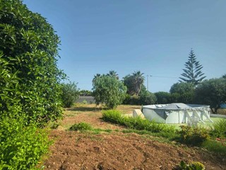 Terreno agricolo in Vendita a Monopoli, 320'000€, 5647 m²