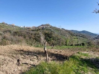 Terreno agricolo in Vendita a Salerno, 55'000&euro;, 11000 m²