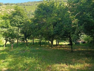 Terreno agricolo in Vendita a Castel San Giorgio, 80'000€, 16000 m²