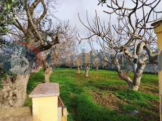 Villa in Vendita a Gallipoli, 250'000&euro;, 145 m²