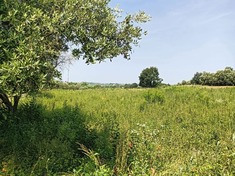 Casale in Vendita a Castelnuovo del Garda, 595'000€, 1000 m²